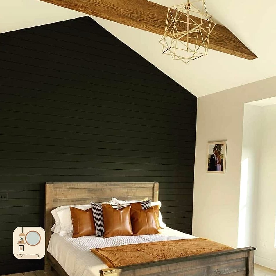 Black Shiplap or Wood Paneling